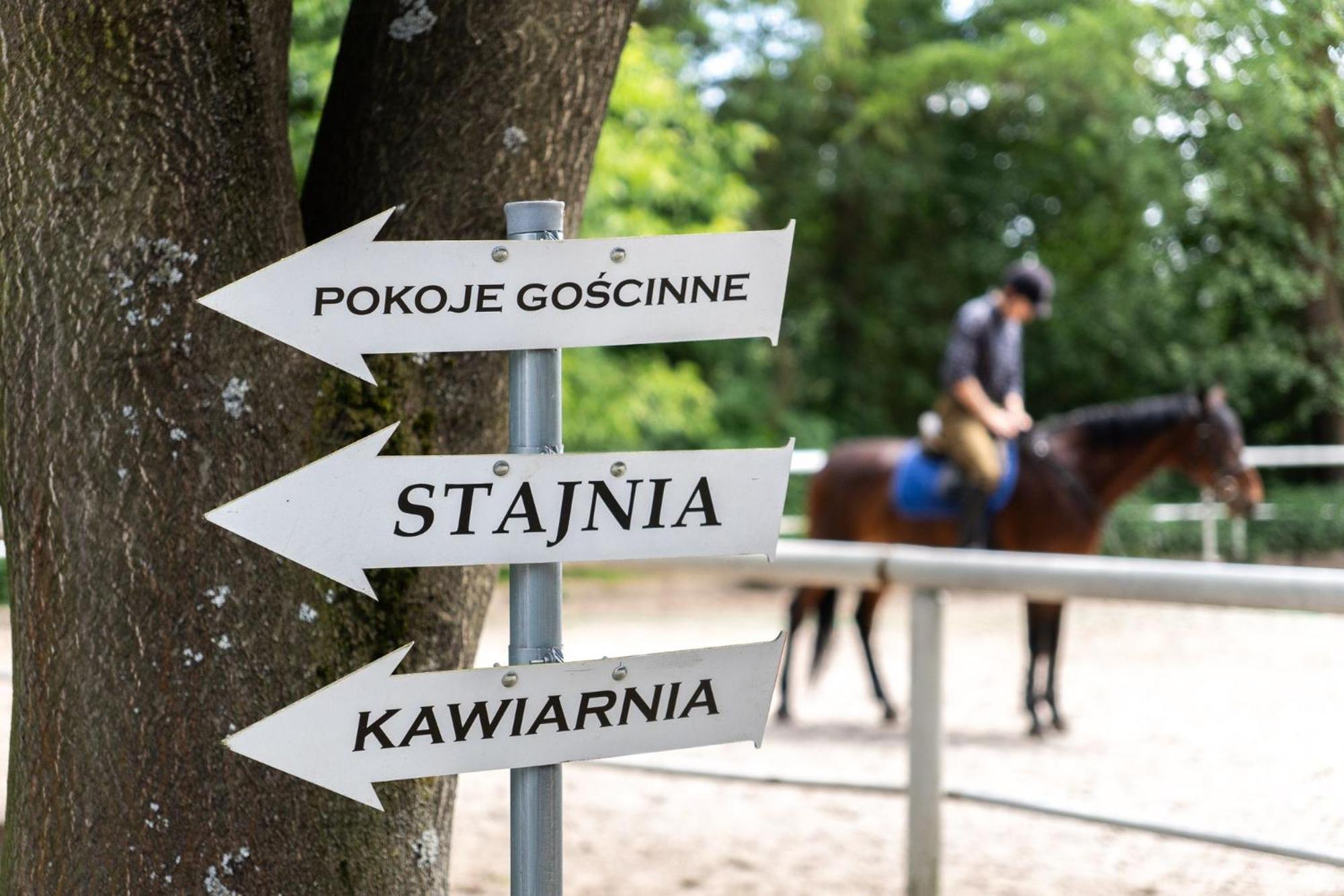 Pokoje Goscinne Cheval Krakow Bagian luar foto
